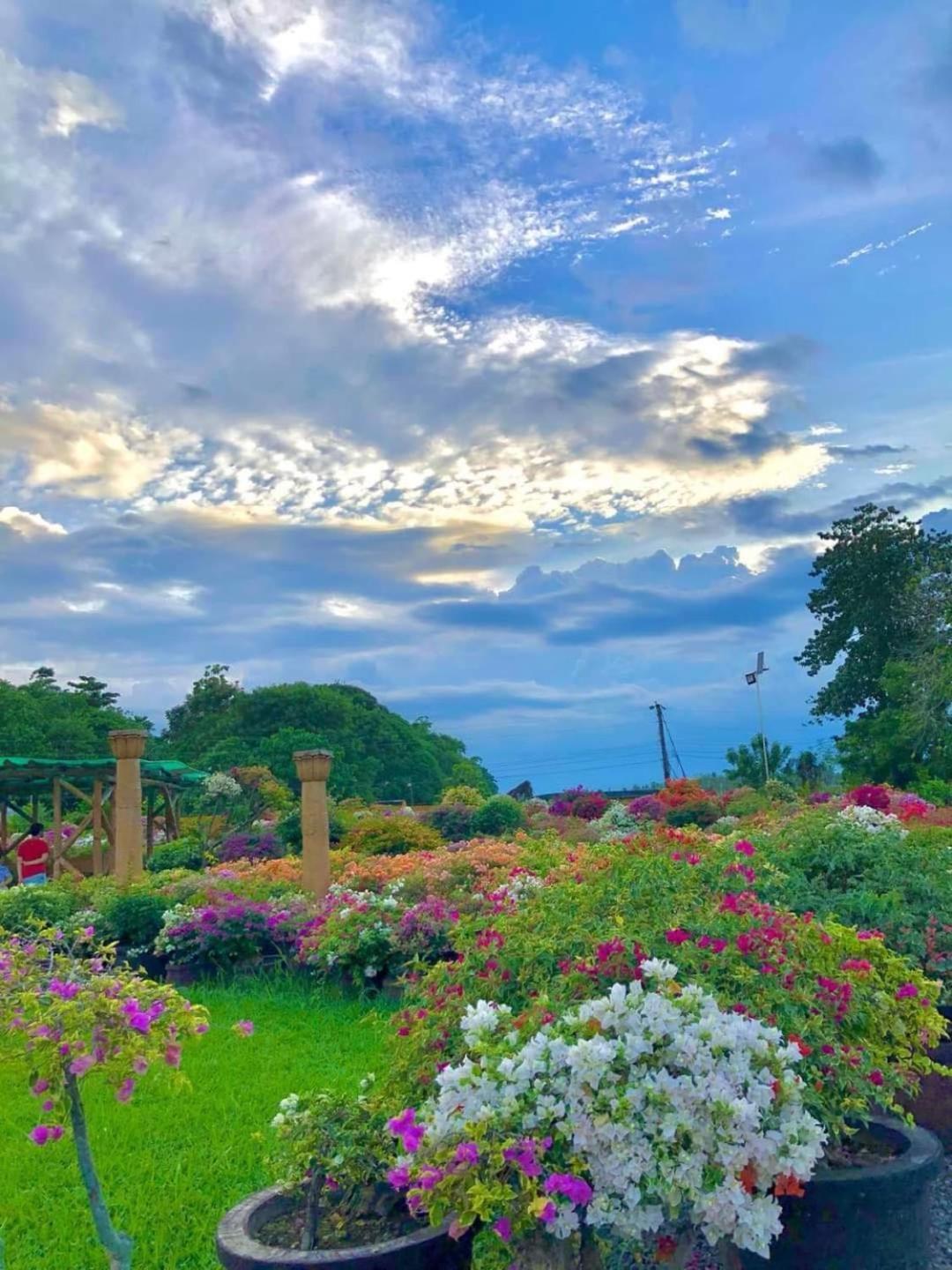 Beach Resorts Walking Distance To The Town House Davao City Extérieur photo